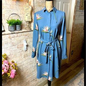 Ann Taylor dress 👗